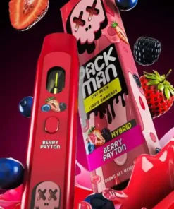 Acheter Packman Berry Payton Disposable Vape