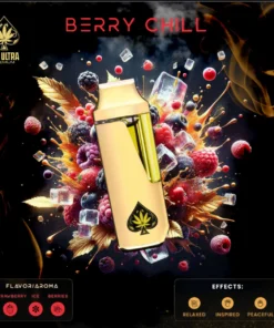 Acheter Ace Berry Chill Vape 2G