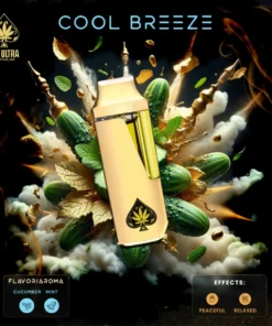 Acheter Ace Cool Breeze 2G